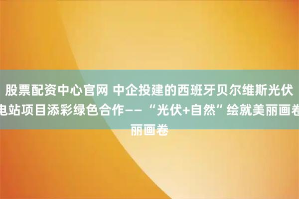 股票配资中心官网 中企投建的西班牙贝尔维斯光伏电站项目添彩绿色合作—— “光伏+自然”绘就美丽画卷